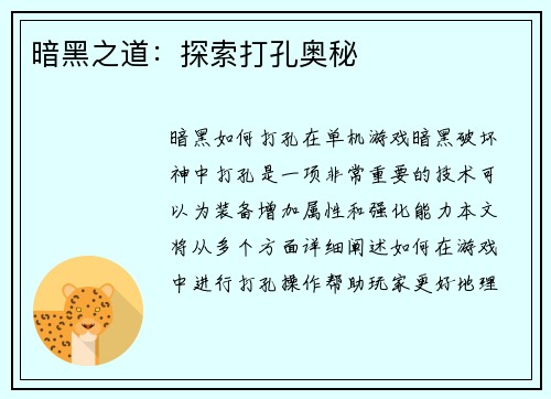 暗黑之道：探索打孔奥秘