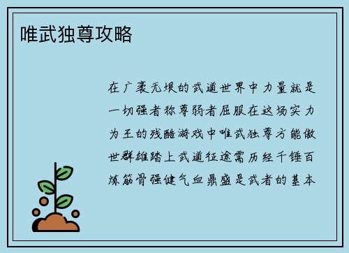 唯武独尊攻略