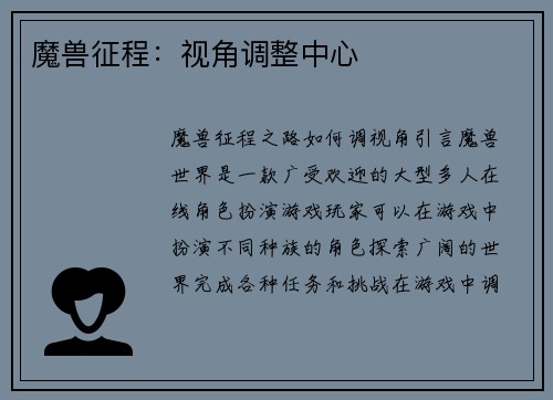 魔兽征程：视角调整中心